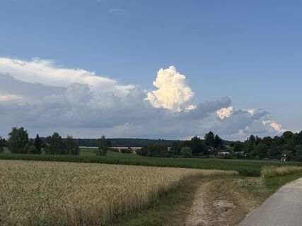 Photo de Schaali le long du parcours