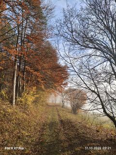 Foto de Fredi Oppel a lo largo del recorrido