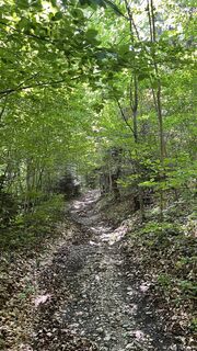 Foto från Interncode under resans gång