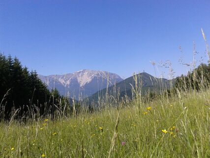 Kaiserebenwiese Puchberg am Schneeberg
