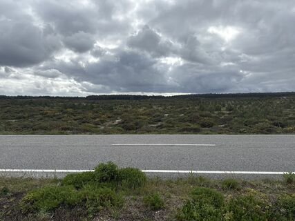 Foto de Helmut Schellmann a lo largo del recorrido
