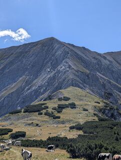 Photo de danistachi le long du parcours