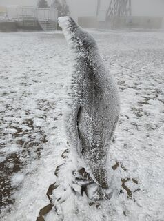 Foto de Januar Y a lo largo del recorrido
