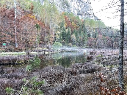 Foto de Rupecker a lo largo del recorrido