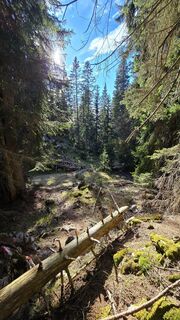 Fotografia z se_muck na trase