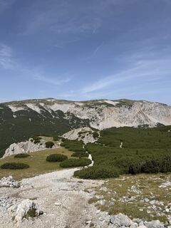 Fotografija s spletne strani Nico ?️ na poti