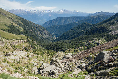 Panorama vom Valgerola zu den Rätischen Alpen