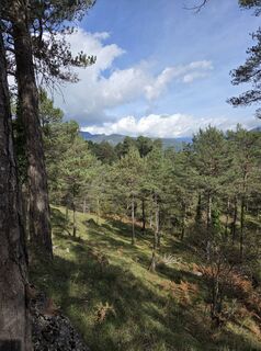 Fotografie z Sandra Hashagen na trase