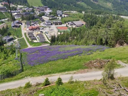 Zdjęcie z Christian Haßmann wzdłuż trasy