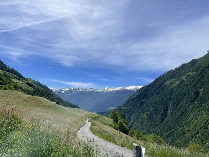 Fotografija s spletne strani Lisa Amann na poti