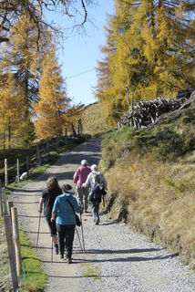 Hochstubenweg