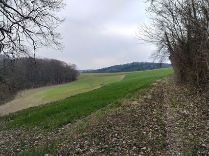 Photo de Poschacher le long du parcours