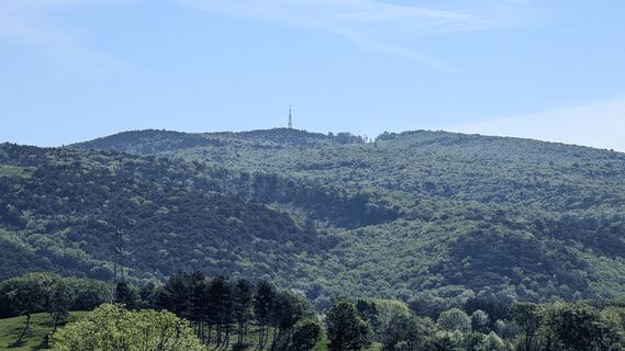 Fotografie de la Jele Hannes de-a lungul turului