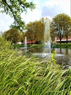 Karpfenteich