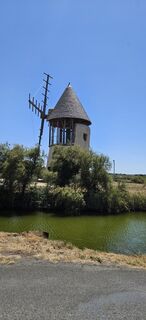 Foto de garrincha a lo largo del recorrido