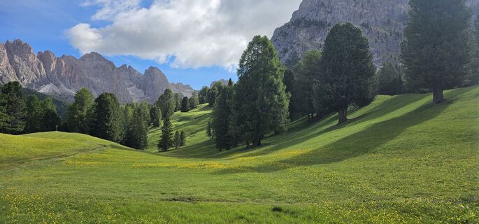 Foto von Franco Fabro entlang der Tour