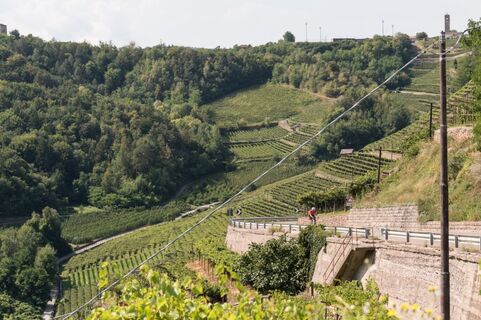 Rennrad Val di Cembra