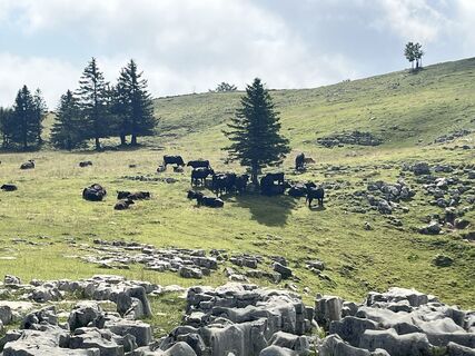 Fotografie de la Lillo Condello de-a lungul turului