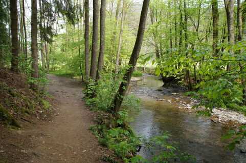 Zemljevid