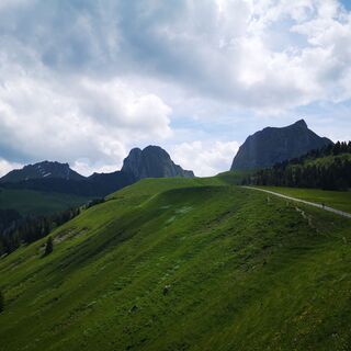 Weg Richtung Alp Obernünenen - Wasserscheide-Stockhorn