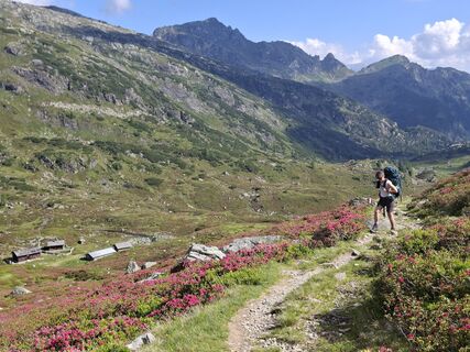 Photo de Halphas666 le long du parcours