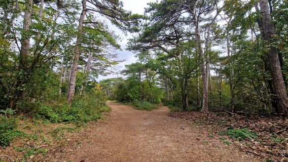 Foto de EP87 a lo largo del recorrido