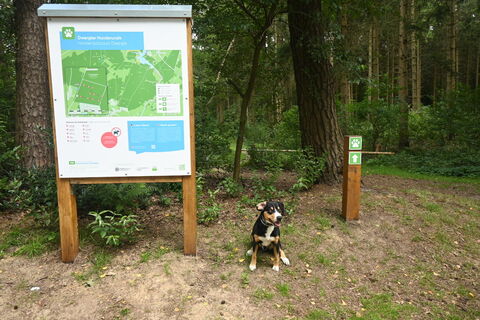 Infotafel am Start der Dwergter Hunderunde