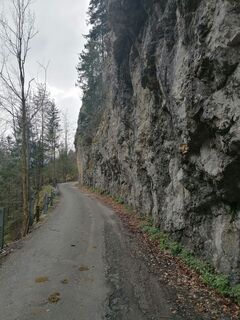 Fotografia z luyyy na trase