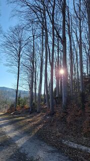 Фото с сайта Aga M во время экскурсии