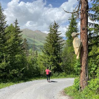 Waldlehrpfad