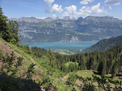 Foto von Jwemmenhove entlang der Tour