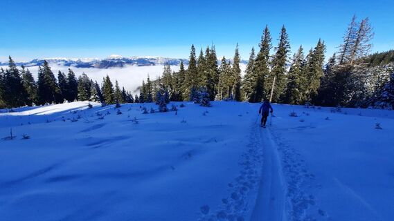 Fotografia z Fredi Windisch na trase