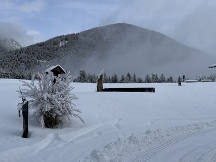 Photo de Grizzli le long du parcours