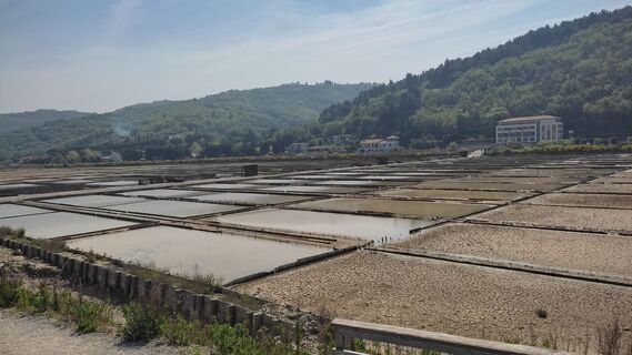 Foto från WilliSt under resans gång