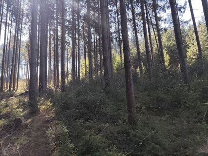 Foto von Tanja Eisenknapp entlang der Tour