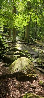 Foto von Zsuzsa Szàntó entlang der Tour