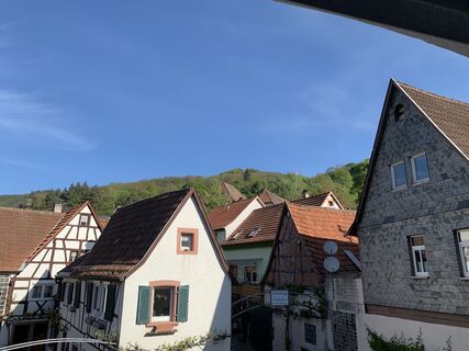 Zdjęcie z Dirk Steinert wzdłuż trasy