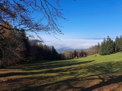 Fotografie de la Daniel Wagner de-a lungul turului