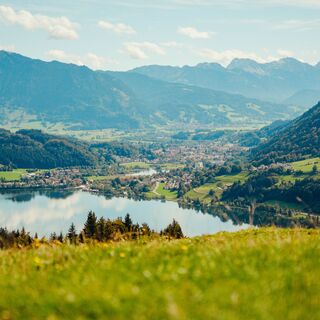 Blick auf den Alpsee
