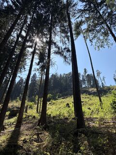 Photo de Heidi Kunz le long du parcours