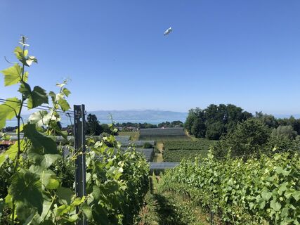 Foto von Enrico Schneider entlang der Tour