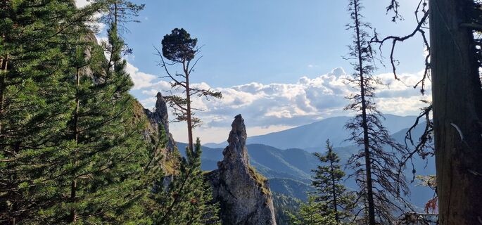 Foto van Catana viorel langs de tour