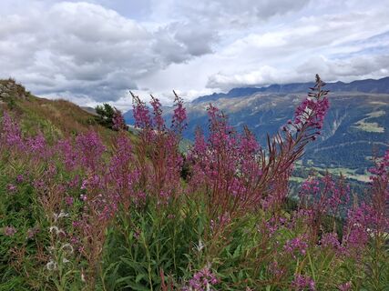 Fotografija s spletne strani Peter spierenburg na poti