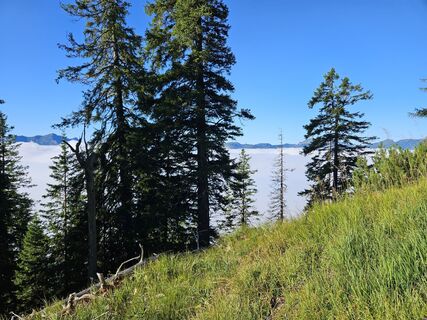 Fotografija s spletne strani Florian Dürnegger na poti