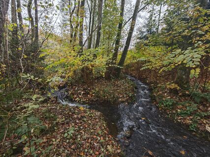 Fotografija s spletne strani Björn Heun na poti