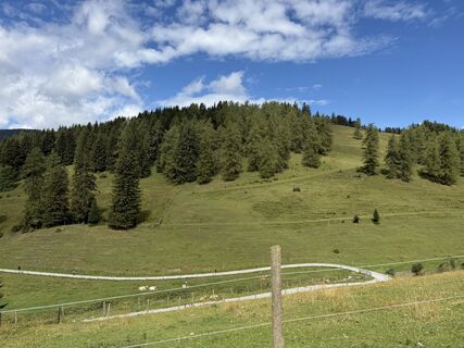Foto von Martin Gutsche entlang der Tour