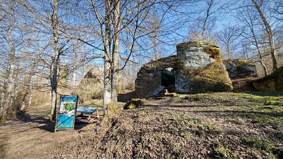 Fotografia z Alexander S na trase