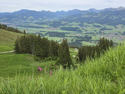 Foto von Gudrun Lippert entlang der Tour