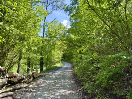 Fotografija s spletne strani Adi H. na poti