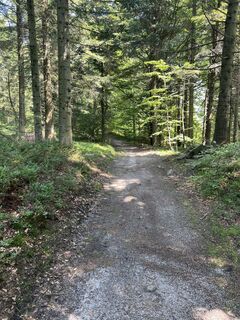 Zdjęcie z Wojciech Godlewski wzdłuż trasy